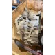 Manual gearbox transmission 180,000km Volvo S60 1285121