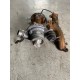 Turbocharger VOLVO S60 V60 V40 2014-2018 31380130 36010069