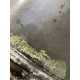 Filtru de particule VOLVO XC40 2018 31439719 32255571 36012839
