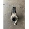 Turbocharger 185CP Volvo XC90 XC70 V70 S60 31293507 36001171 30757080