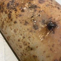 Filtru particule 2.4 Volvo XC90 2007-2014 31219055 36050566