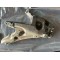 Suport aripa dreapta fata Volvo S60 V60 2018+ 31468232