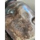 Filtru de particule VOLVO V90 S60 V60 XC60 XC90 2019 32225414 36011581