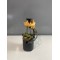 Pompa motorina Volvo XC60 V70 S80 XC90 XC70 6g9n-9275-bg 31274885 31372900 