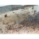 Filtru de particule 185 cpVOLVO XC70 2001-2007 30713210 36050567 31219054 36002221