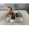 Catalytic converter 100.000KM VOLVO XC60 V60CC MILD HYBRID V60 V90 V90CC XC90 32240728 36010524