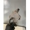 Pompa vacum Volvo S60 V60 S80 V70 XC70 XC60 C30 V50 XC90 31219463 31375106