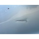 Usa stanga fata Volvo XC60 2010-2017 31297127 31457126