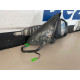 Right Rear View Mirror foldable with bliss and light 14 wires Volvo S60 V60 2010-2017 31297956