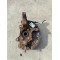 Front Right Steering Knuckle Volvo XC90 2007-2014 30760562 31200316