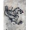 Engine wiring harness VOLVO S80 2007-2013 30775906