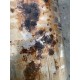Filtru particule 2.4 Volvo XC90 2007-2014 31219055 36050566