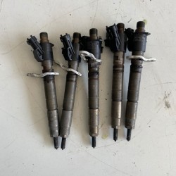Injectoare 2.4 Volvo S60 V60 S80 V70 XC60 XC70 31272690 36002662
