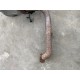 Filtru de particule 1.6 VOLVO V50 2006 36001868