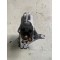 Front right knuckle Volvo V40 2012-2018 31302822
