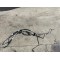 Conducte Caseta Servodirectie Volvo S40 V50 C30 31201650 31360924