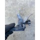 Cantar xenon VOLVO XC90 S90 V90 V60 2016+ 31387246 31406563
