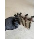 Injectoare 1.6 114CP Volvo C30 V40 V50 V60 S40 S60 9802448680 50274V05 36001726 36001727