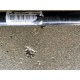 Planetara Spate Volvo V60CC 2019+ 32336199 36011794