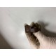 Senzor impact Volvo S90 V90 V90CC 2018+ 31451530
