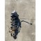 Amortizor spate dreapta complet VOLVO S60R 2006-2009 31212036 8672095 8250448 30645725 30647735