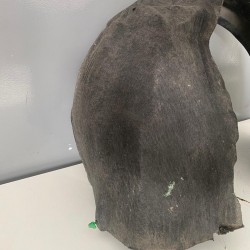 Front right mudguard VOLVO V40 2012+ 31265974 31301959